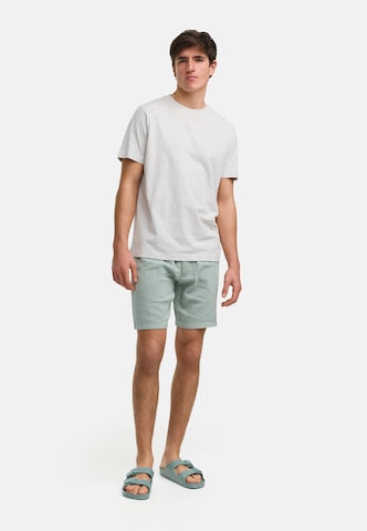 Regular Pantalon 'Avery' Kronstadt en vert