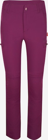 TROLLKIDS Workout Pants in Purple: front