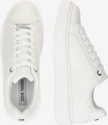 STEVE MADDEN Sneakers 'CATCHER' in White