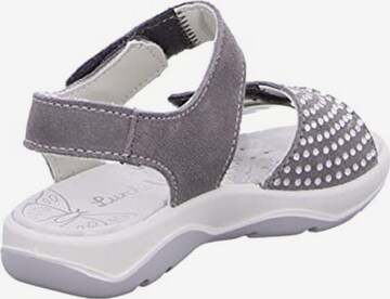 LURCHI Sandals in Grey