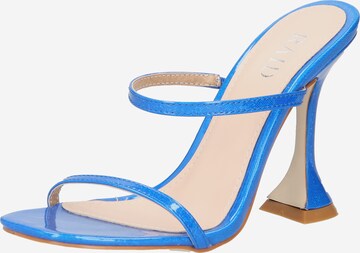 Raid Mules 'TREESA' in Blue: front