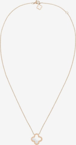 Lenoites Ketting in Goud: voorkant