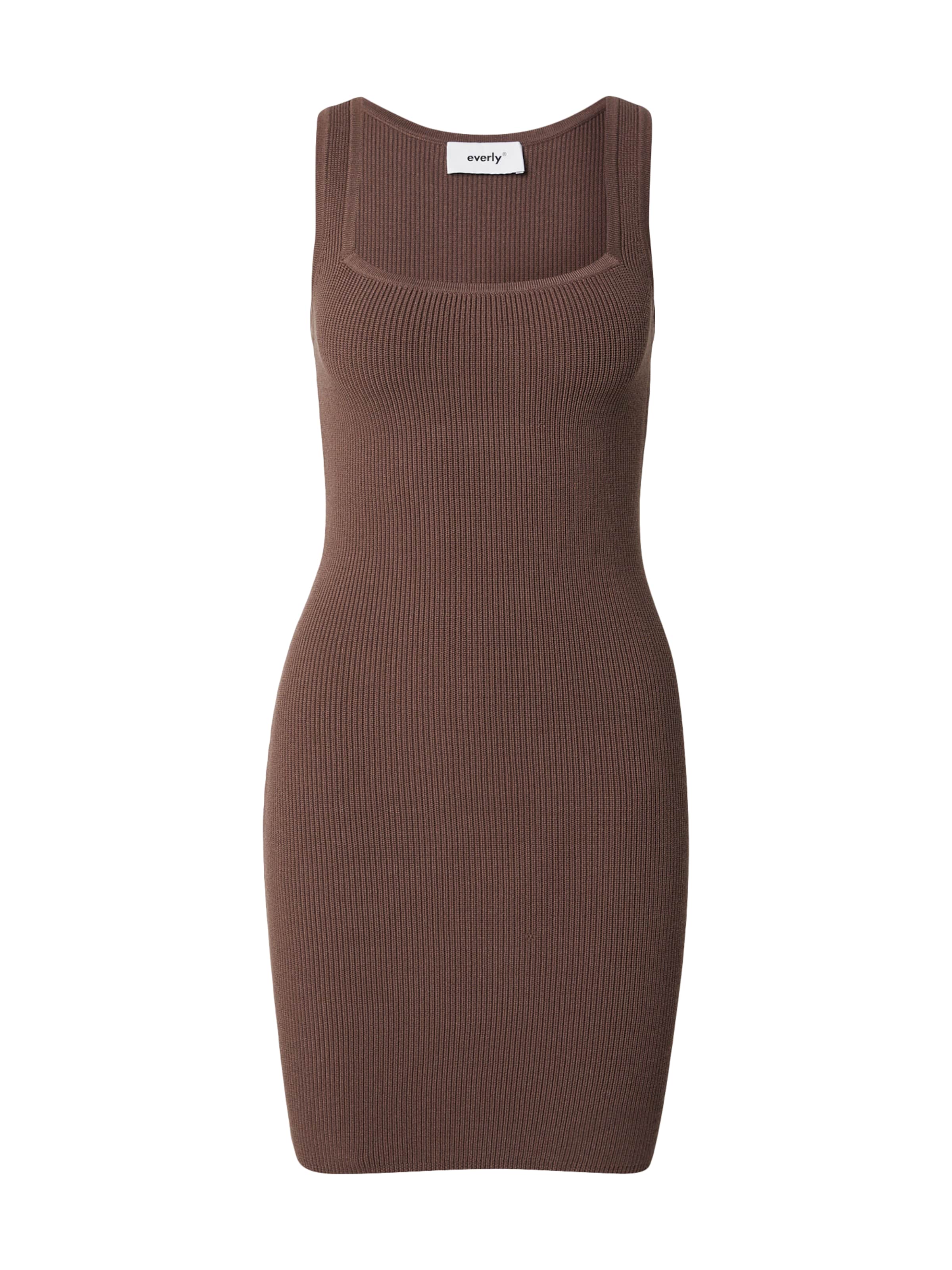 Everly Knit dress in Brown: front