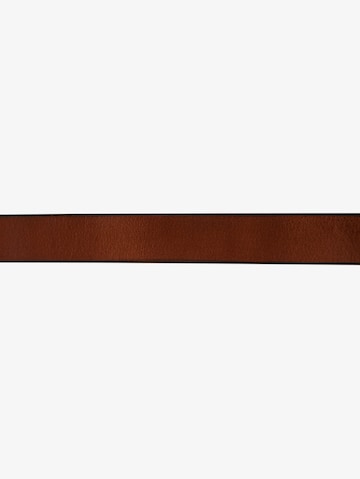 TOM TAILOR Belt in Brown