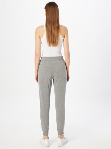 HOLLISTER Tapered Hose in Grau