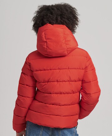 Superdry Winterjas in Rood