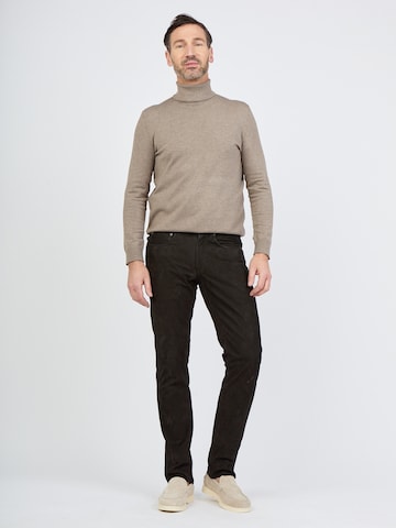 JCC Regular Hose 'Phill' in Braun