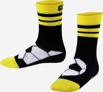 FALKE Socks 'Active Soccer' in Black: front
