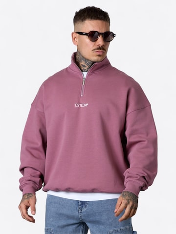 Felpa ' Discreet Oversized Halfzip ' di ESTEEM in rosa: frontale