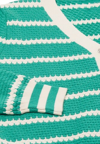 SANIKA Knit Cardigan in Green