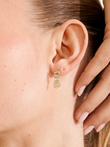 PilgrimNaušnice 'Fire' - zlatna boja