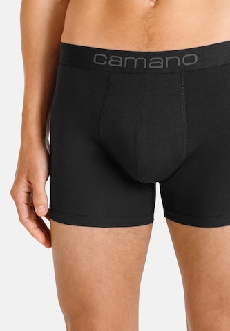 camano Boxershorts in Schwarz