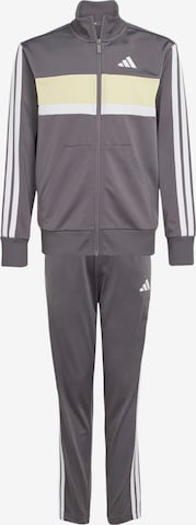 ADIDAS SPORTSWEAR Тренировочный костюм 'Seasonal Essentials Tiberio' в Серый: спереди