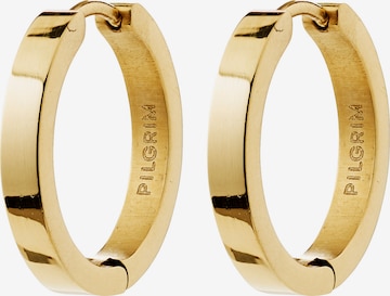 auksinė Pilgrim Auskarai 'KAIROA': priekis