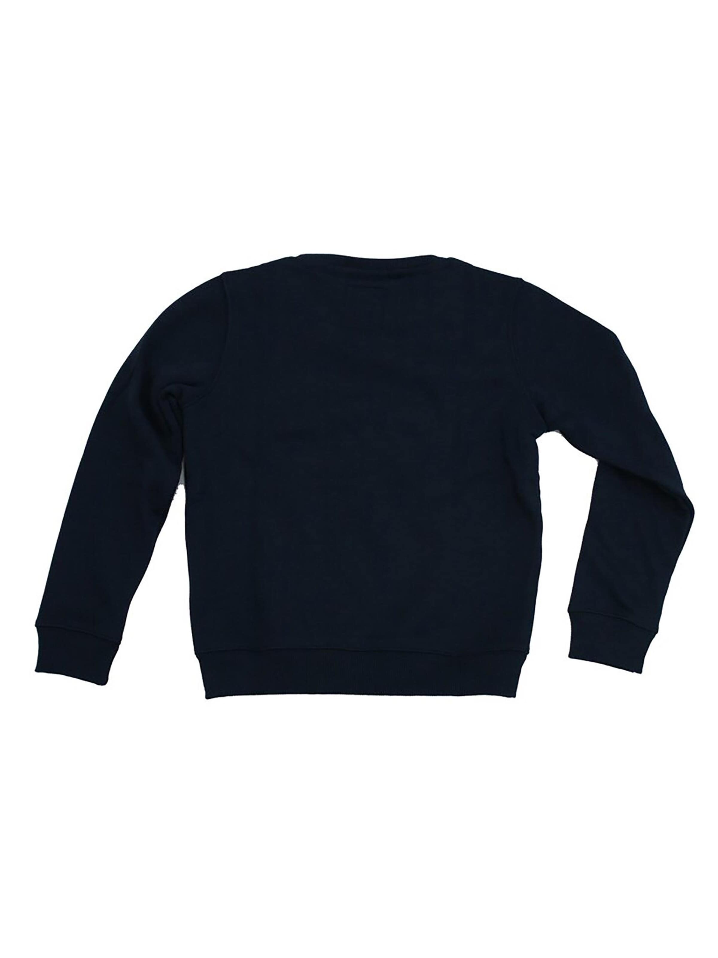 ALPHA INDUSTRIES Sweatshirt 'NASA' in Blue