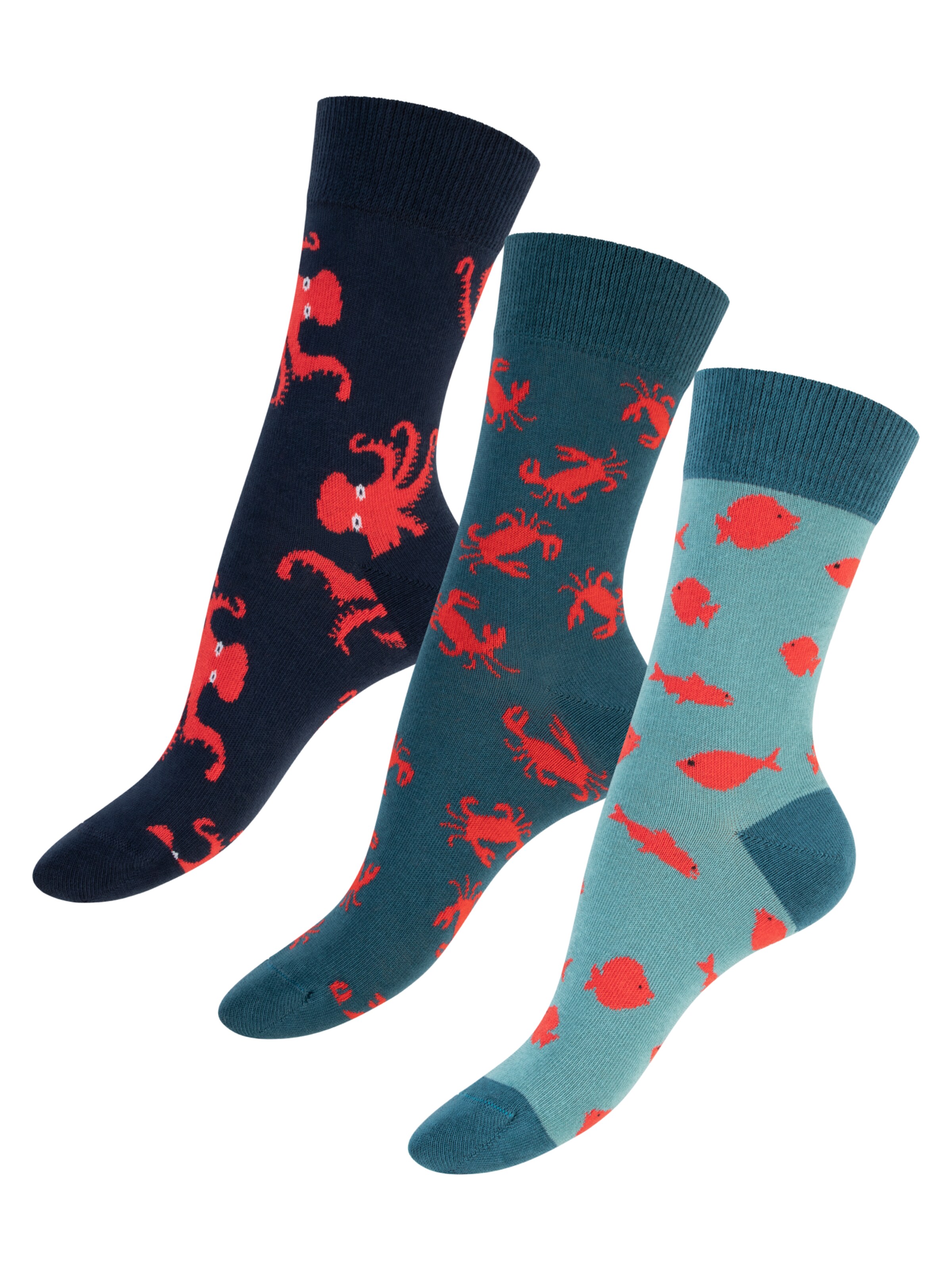 footstar Socken‌‌‌ in Blau: Vorderseite