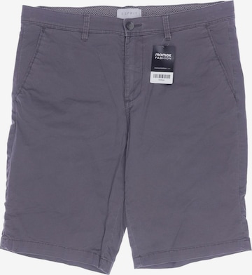 ESPRIT Shorts in 34 in Grey: front