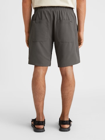 O'NEILL Regular Shorts 'Utility 17' in Grau