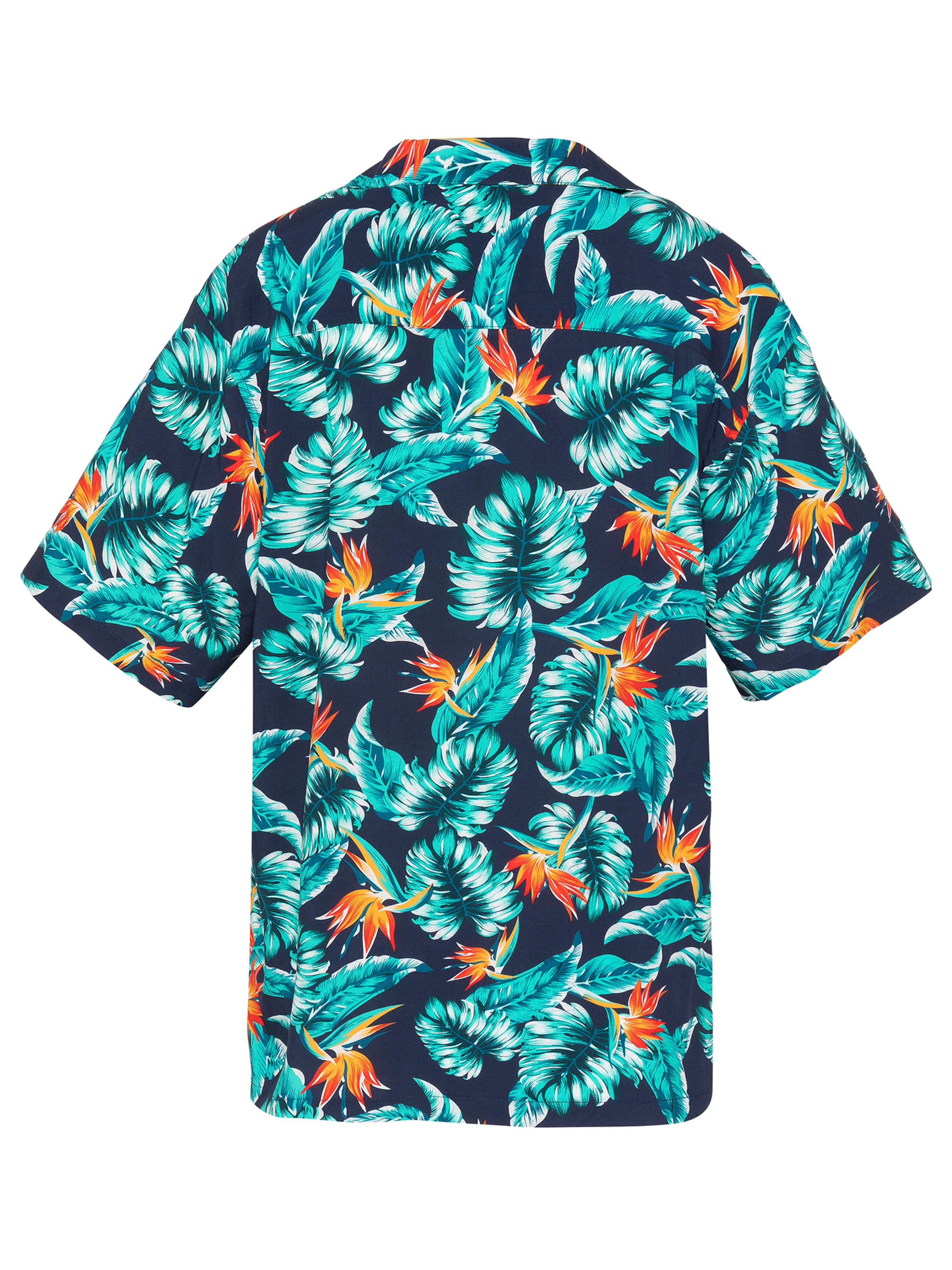 Schott NYC Regular fit Button Up Shirt in Blue