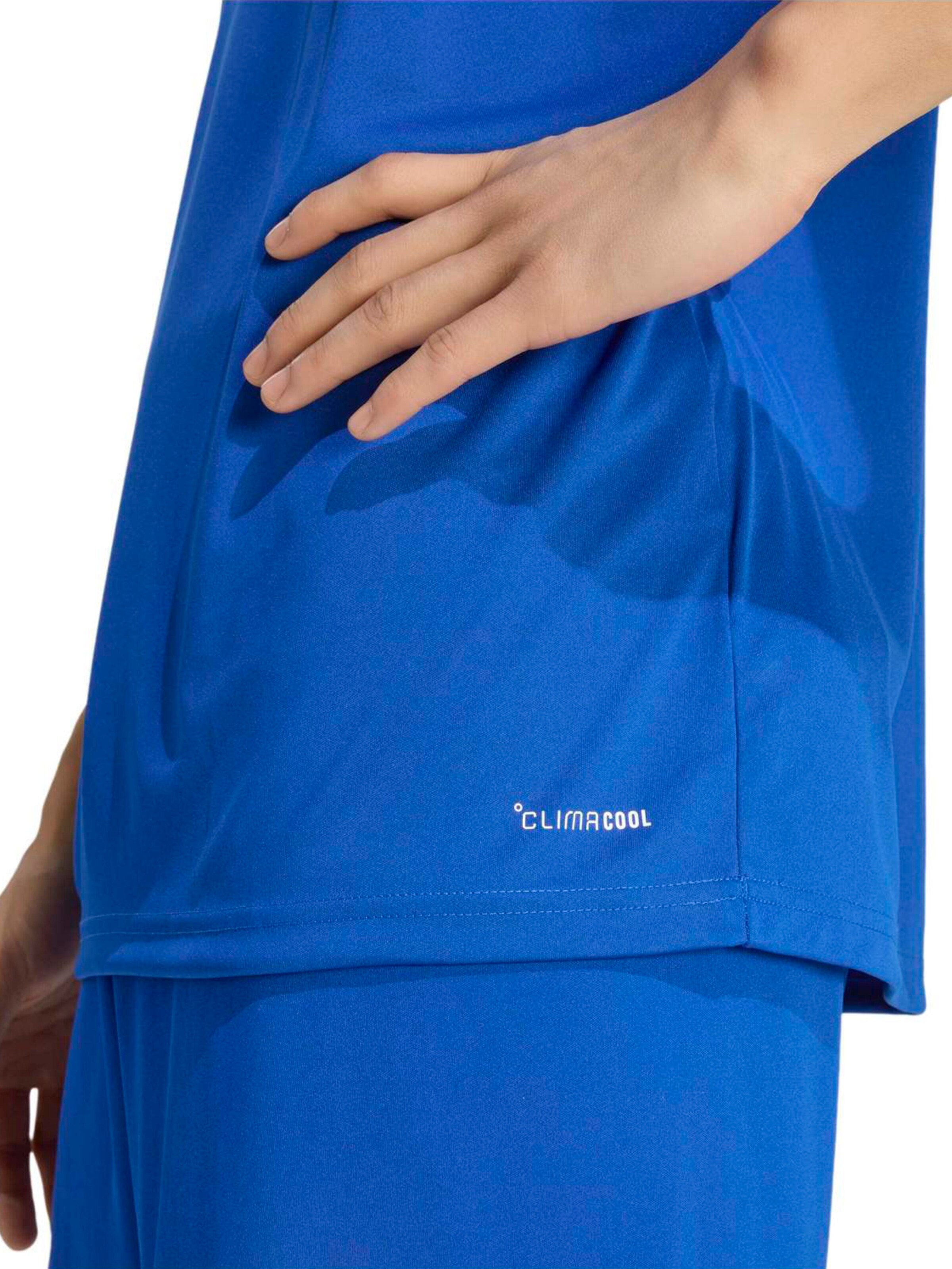 ADIDAS PERFORMANCE Functioneel shirt 'ENT26' in Blauw