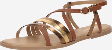 ABOUT YOU Remmisandaalit 'Pelin' värissä ruskea: etupuoli