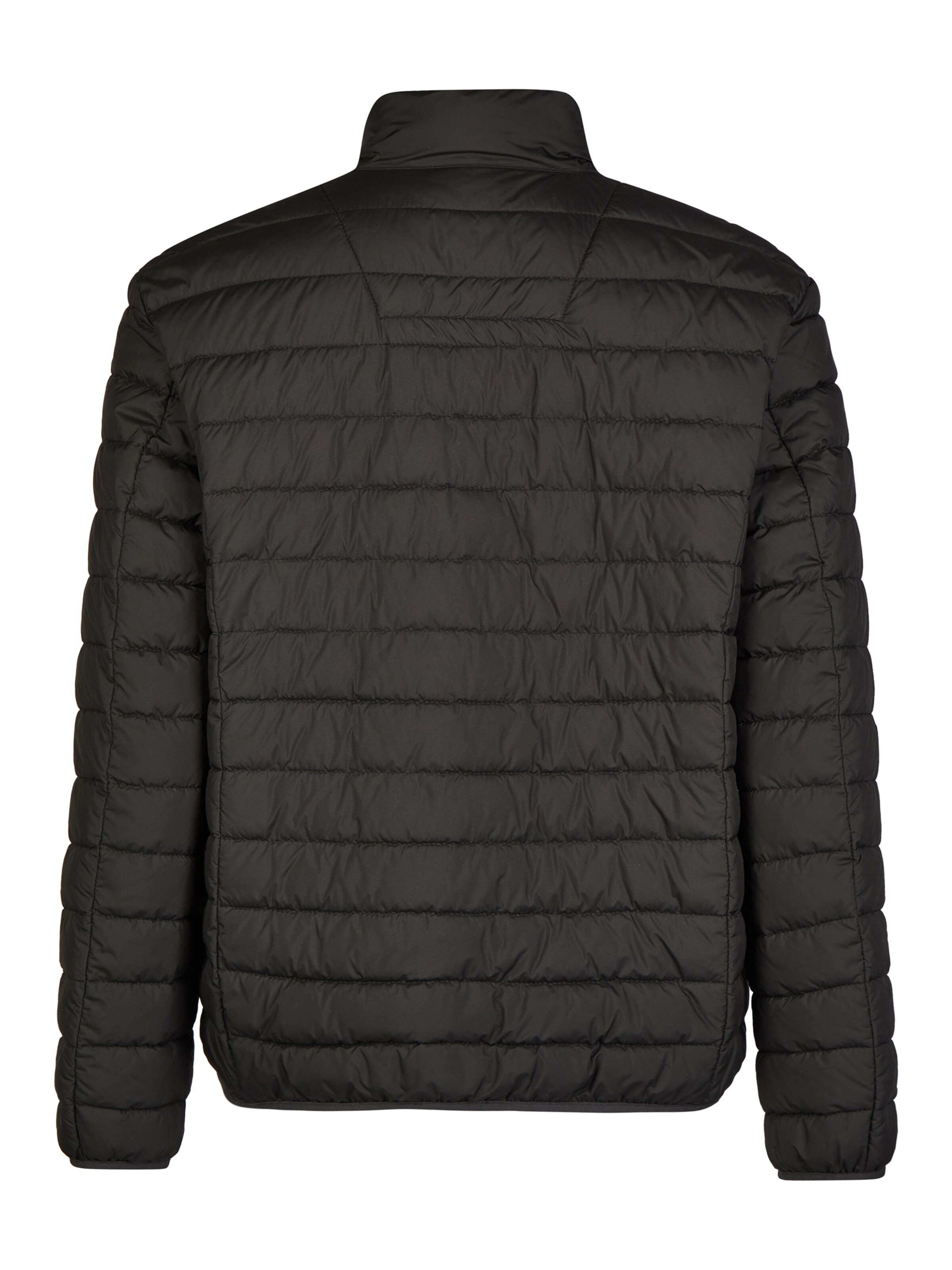 CALAMAR Tussenjas in Zwart