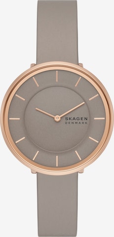 SKAGEN Uhr in Grau: predná strana