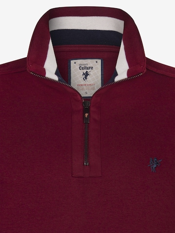 DENIM CULTURE Sweatshirt 'ALCINOO' in Rot