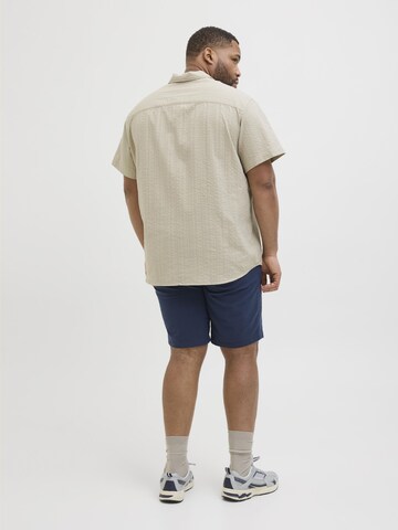 Jack & Jones Plus Regular fit Overhemd in Grijs