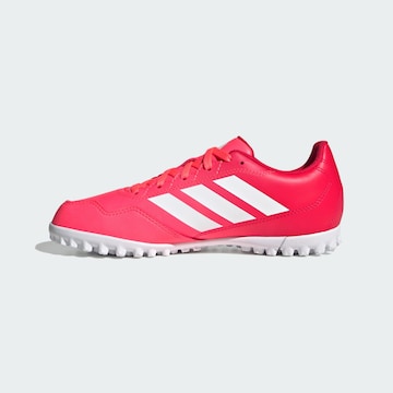 Chaussure de sport 'Youngstar Rise' ADIDAS PERFORMANCE en rose