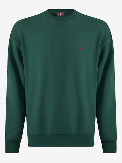 Williot Sweatshirt in de kleur Groen / Petrol, Productweergave