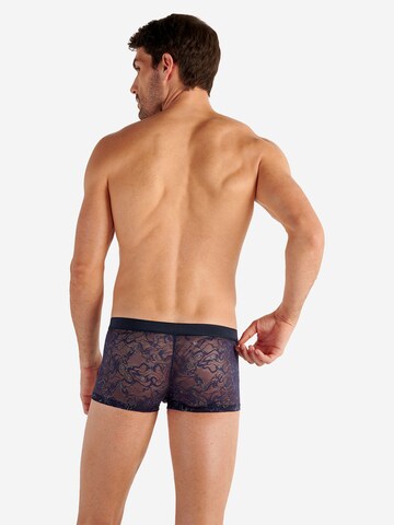 HOM Trunk ' Purple ' in Blau