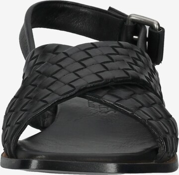 SHABBIES AMSTERDAM Sandals in Black