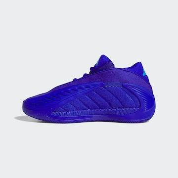 ADIDAS PERFORMANCE Sportschoen 'Anthony Edwards 2' in Blauw