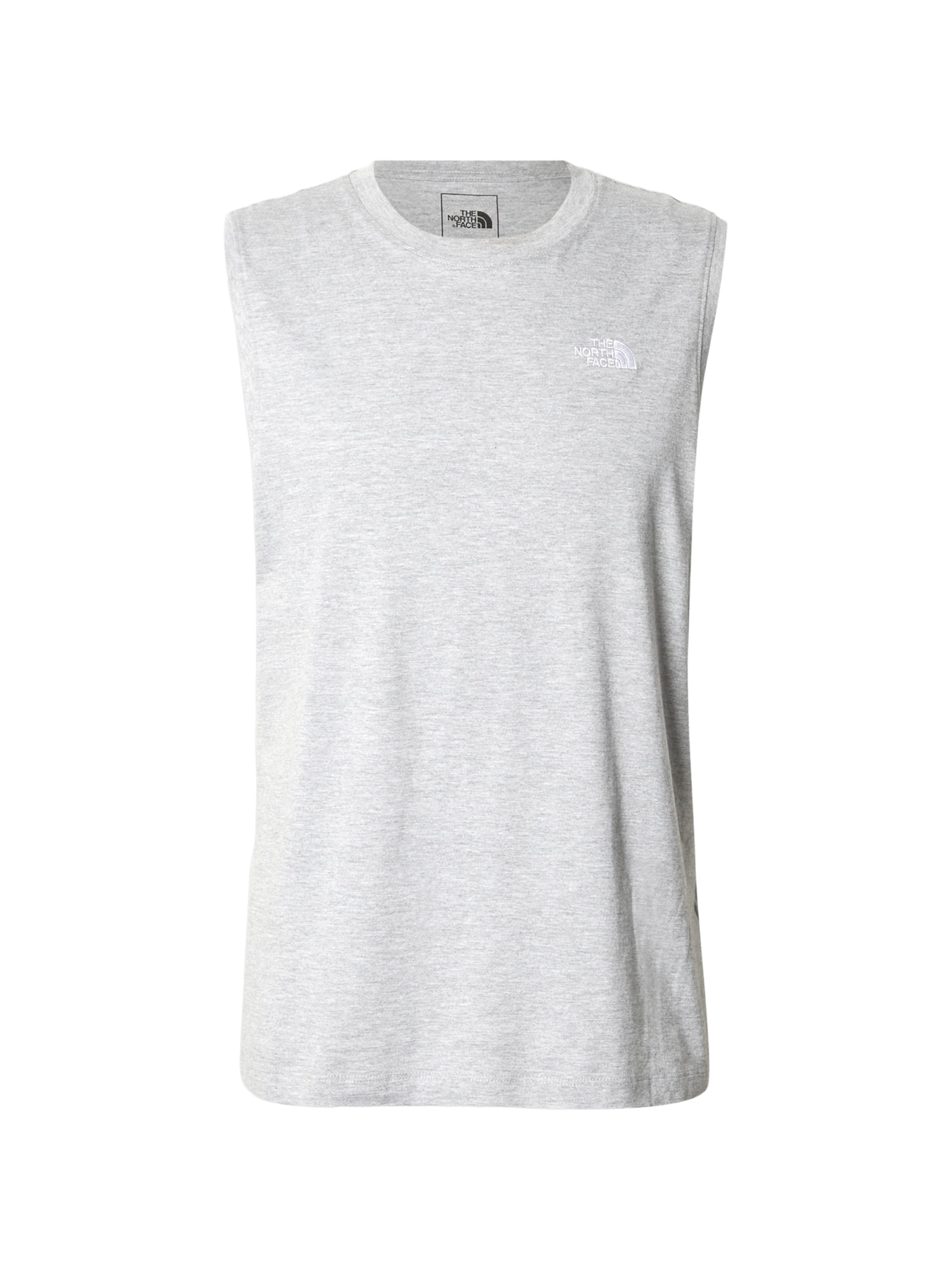 Tricou 'EVOLUTION SIMPLE DOME' de la THE NORTH FACE pe gri: față