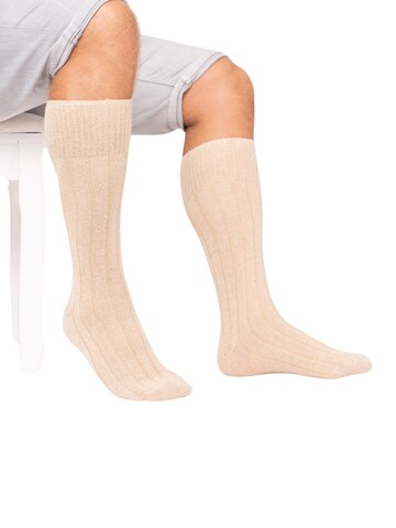 HomeOfSocks Knee High Socks 'HOSK494' in Beige