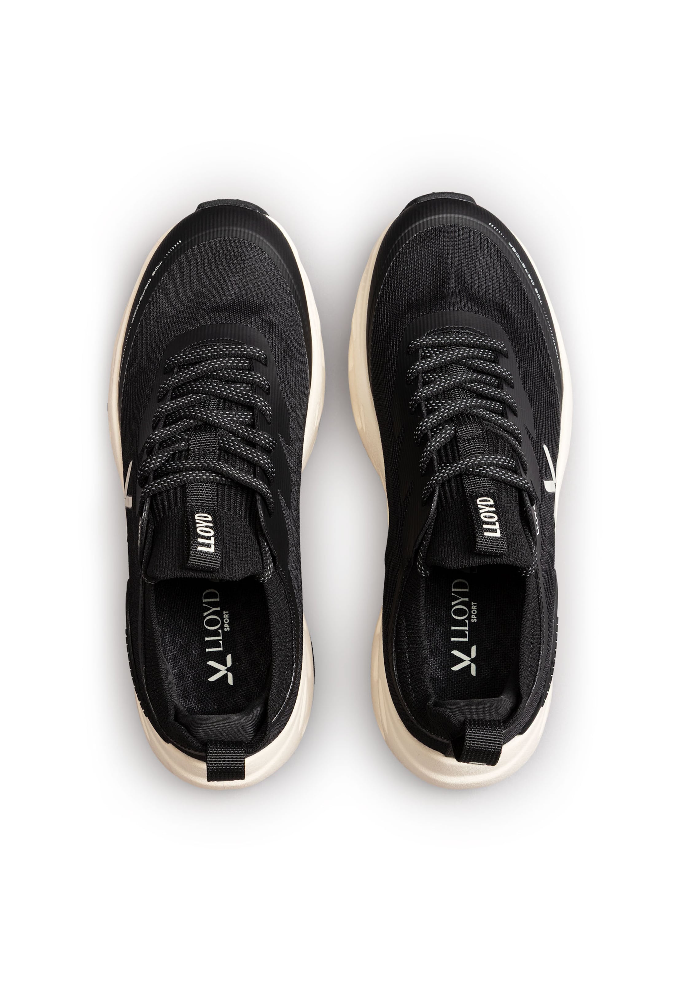 Baskets basses 'DASH ERA' LLOYD en noir