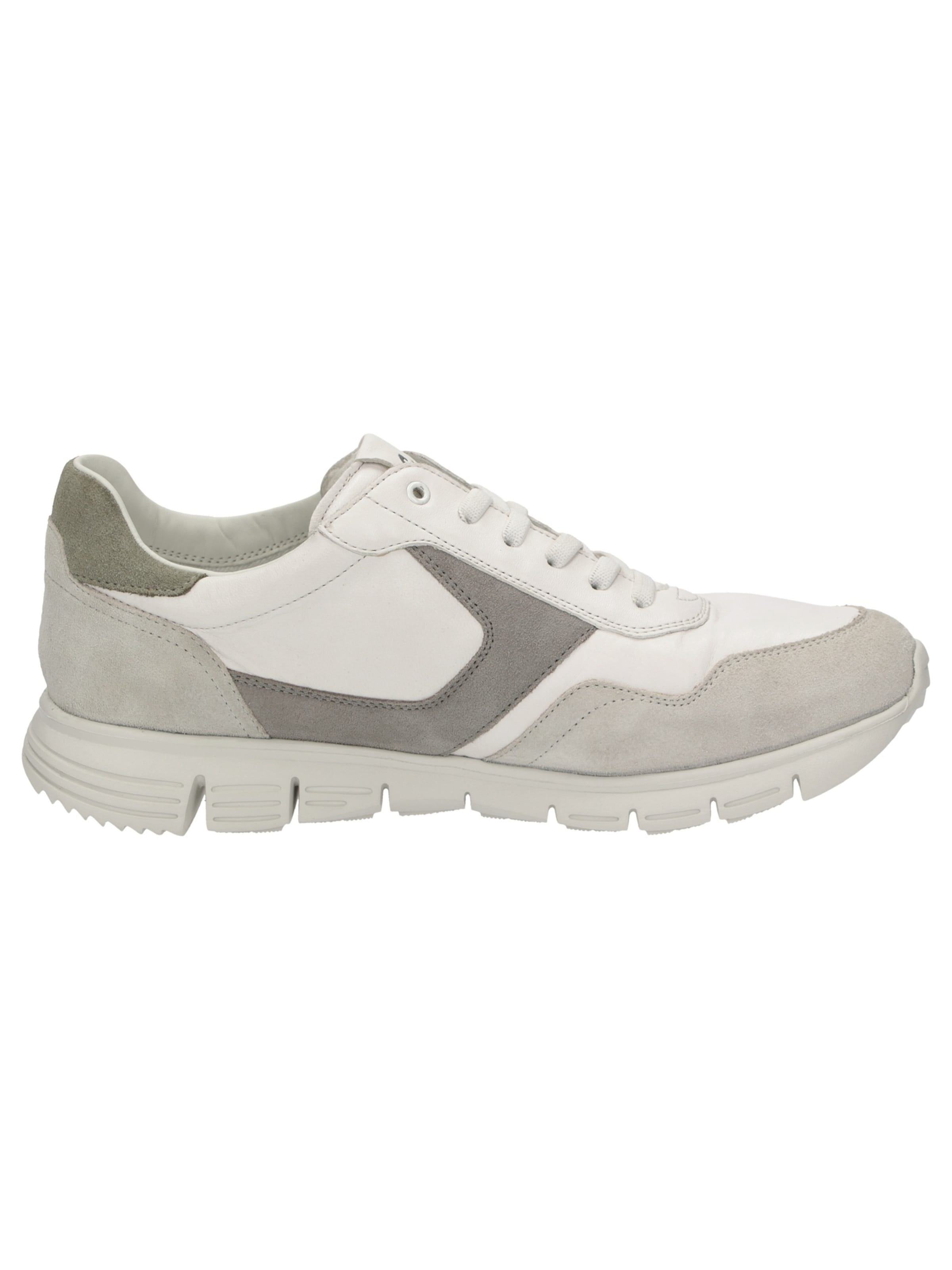 SIOUX Platform trainers in Grey