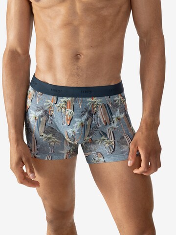 Mey Boxer shorts 'Surfer Paradise' in Grey: front
