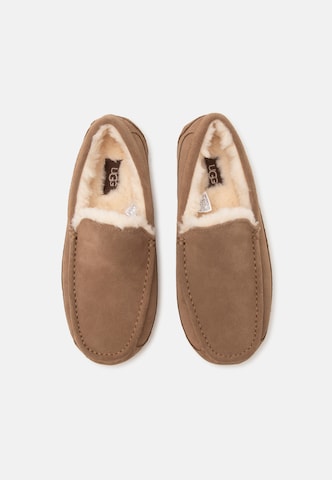 UGG Mokasíny 'ASCOT' - Hnedá