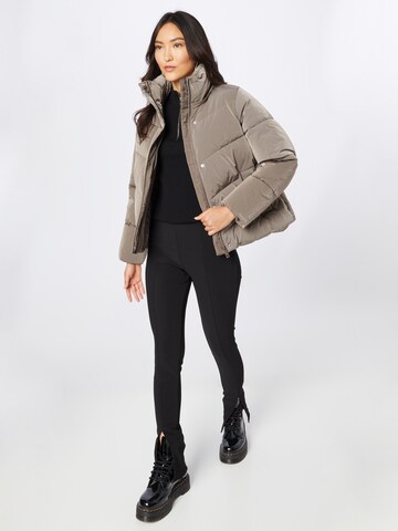 Calvin Klein Winter Jacket in Brown