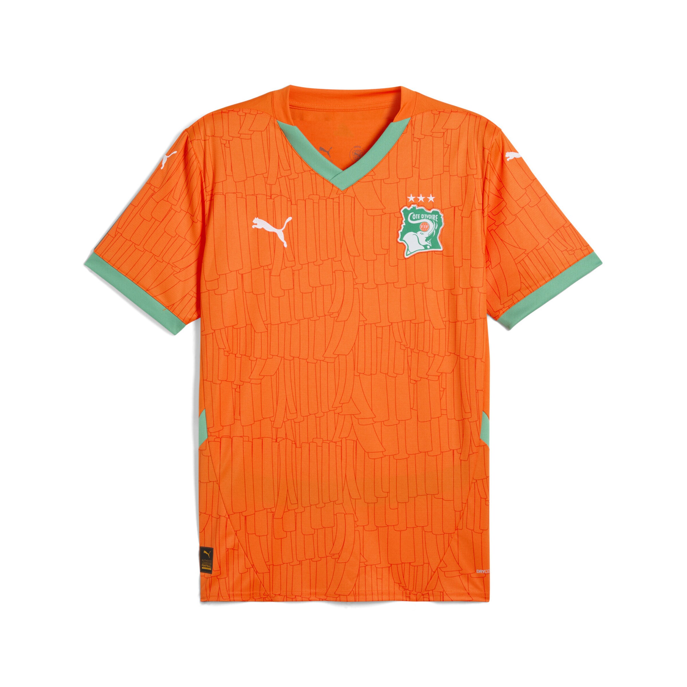 PUMA Tricot 'Elfenbeinküste 2025' in Oranje: voorkant
