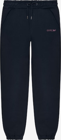 ESTEEM Jogger in Grau: Vorderseite