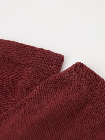 CALZEDONIA Socken in Rot