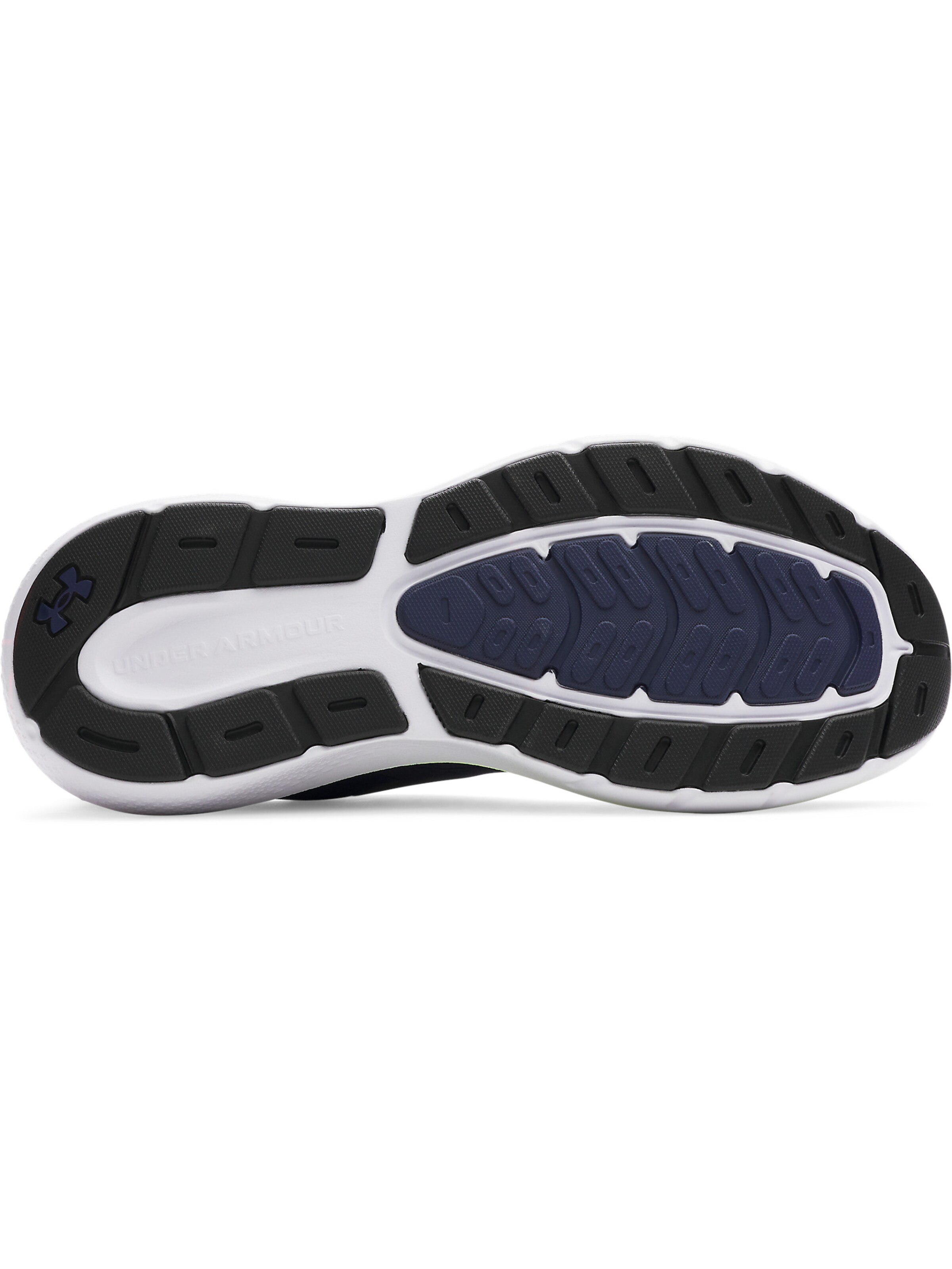 UNDER ARMOUR Loopschoen 'Charged Rogue 5' in Blauw