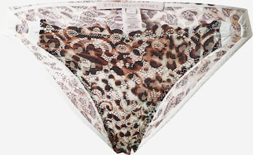 Stella McCartney Panty in Brown: front