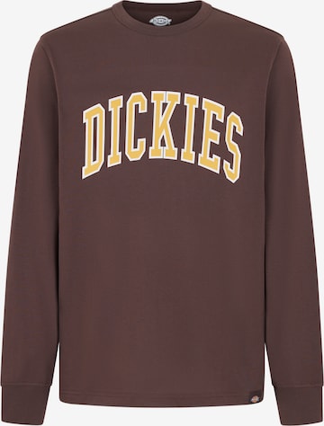 DICKIES - Sweatshirt 'AITKIN' em castanho: frente