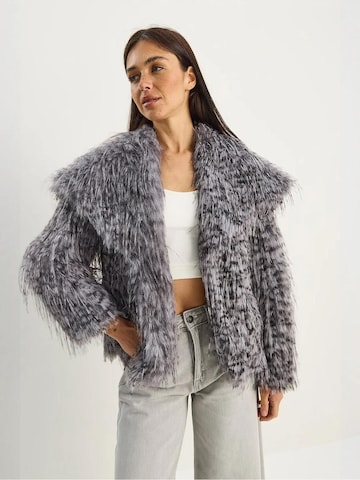 Manteau d’hiver Bianco Lucci en gris : devant