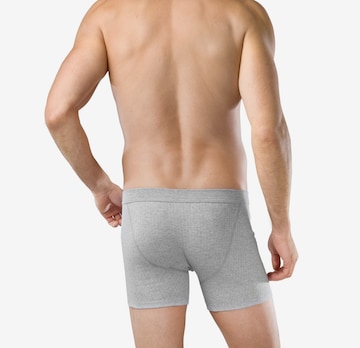 SCHIESSER - Boxers em cinzento