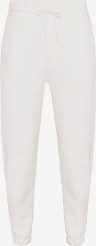 Antioch Tapered Pants in Beige: front